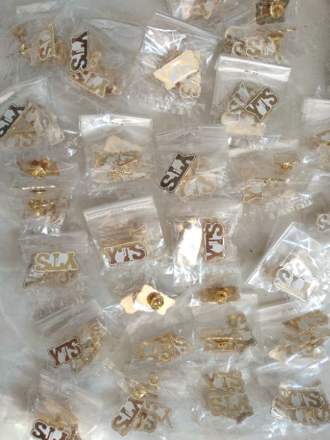 Pin cài áo, in logo theo yêu cầu, huy hiệu cài áo. Giá /1 cái