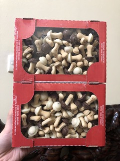 Bánh nấm Nga