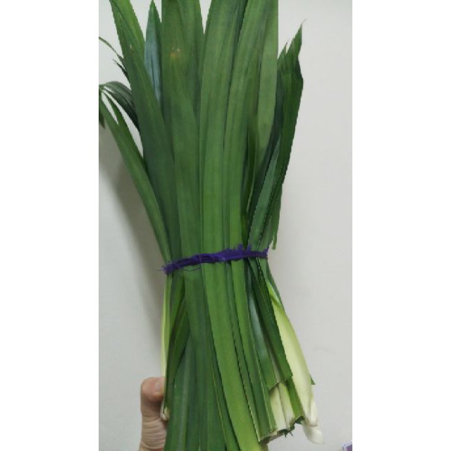 Trà lá dứa (lá nếp thơm) 100g - Healthy