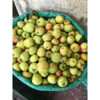 sỉ giá gốc 4kg táo mèo tươi