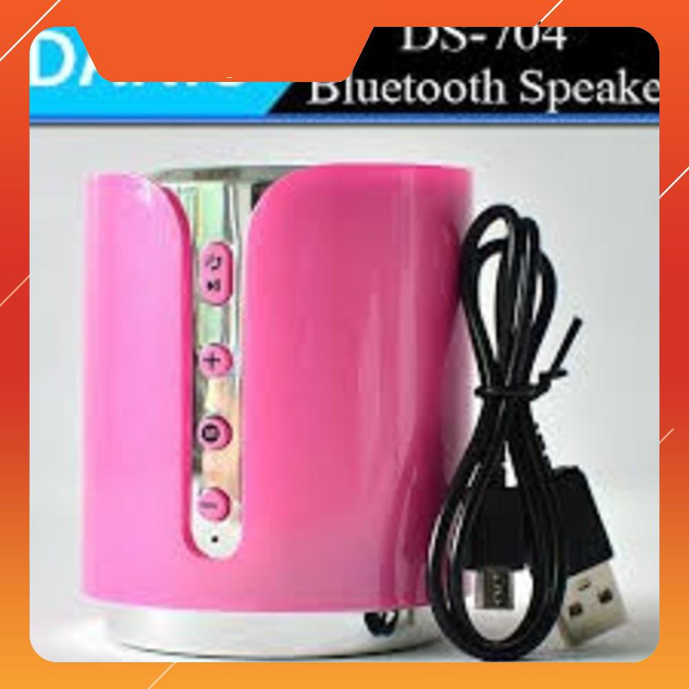 sản phẩm Loa nghe nhạc đa năng Daniu DS 704 chính hãng