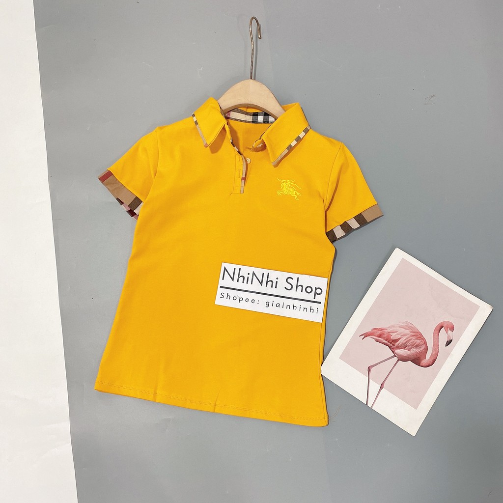 Áo phông dáng ôm thêu ngựa, Áo thun cổ bẻ pha kẻ ngắn tay ôm dáng AS6013 - NhiNhi Shop