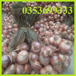 0,5 KG Hành Bắc thơm ngon củ to mẩy loại 1