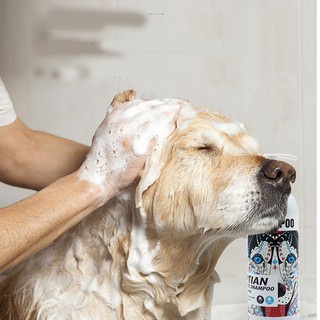 Sữa tắm chó mèo Sampoo dưỡng lông, ngừa bênh về da– Chiết xuất từ tinh dầu Ai Cập chất lượng cao_500ml