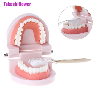 Bộ đồ chơi giả lập răng giả takashiflower++++