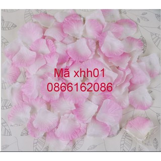Combo 100 cánh hoa hồng vải lụa