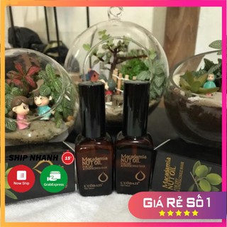 Tinh dầu Oliu dưỡng tóc