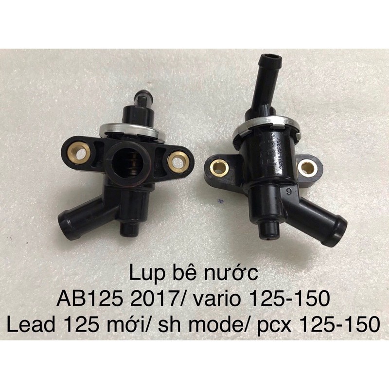 lúp bê nước vario
