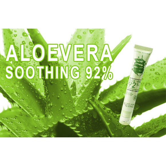 Lăn Thâm Quầng Mắt Nha Đam Aloe Vera | BigBuy360 - bigbuy360.vn
