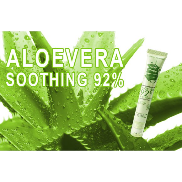 Lăn Thâm Quầng Mắt Nha Đam Aloe Vera