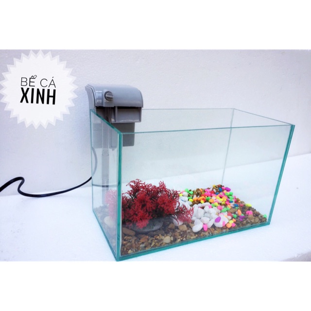 Bể Cá Mini Đẹp