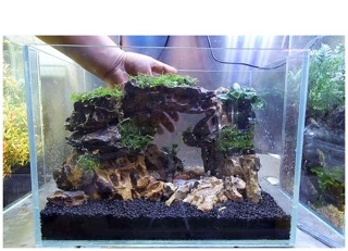 [300 GRAM] Đá Tiger Size Mini SetUp Hồ Cá, Thuỷ Sinh