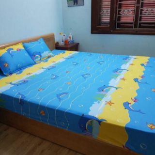 Drap chống thấm cao cấp hàn quốc