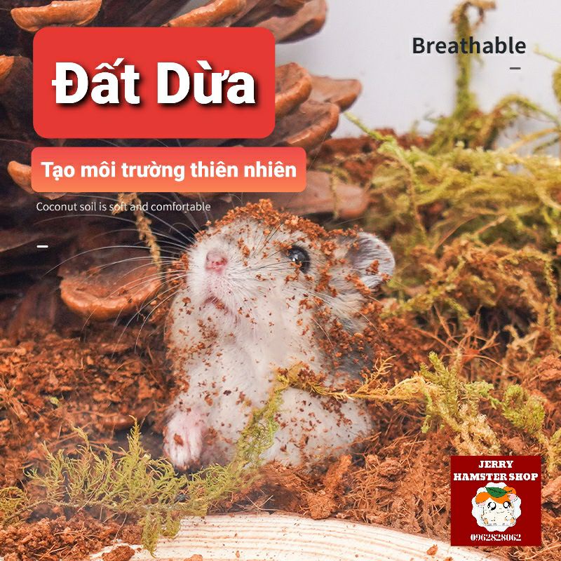 Bộ đệm tạo môi trường thiên nhiên cho hamster và thú cưng nhỏ