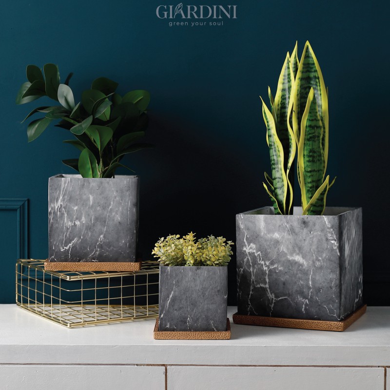 CHẬU GỐM VUÔNG VÂN TRẮNG