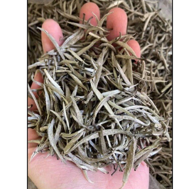 Bạch trà shan tuyết vụ xuân Hà Giang, hương thơm vị ngọt nhẹ 100g