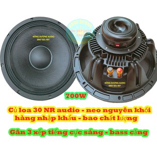 LOA BASS 30 NR TỪ NEO 100 CÔN DẸT 76 - GIÁ MỘT LOA - HÀNG CHÍNH HÃNG