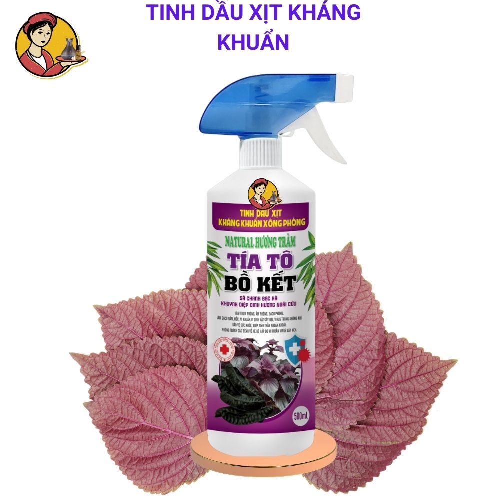 Bình Xịt Phòng Khử Khuẩn Tinh Dầu Nguyên Chất Hương Chanh Sả Bạc Hà Khuynh Diệp Bồ Kết Khử Mùi Thơm Phòng Đuổi Muỗi