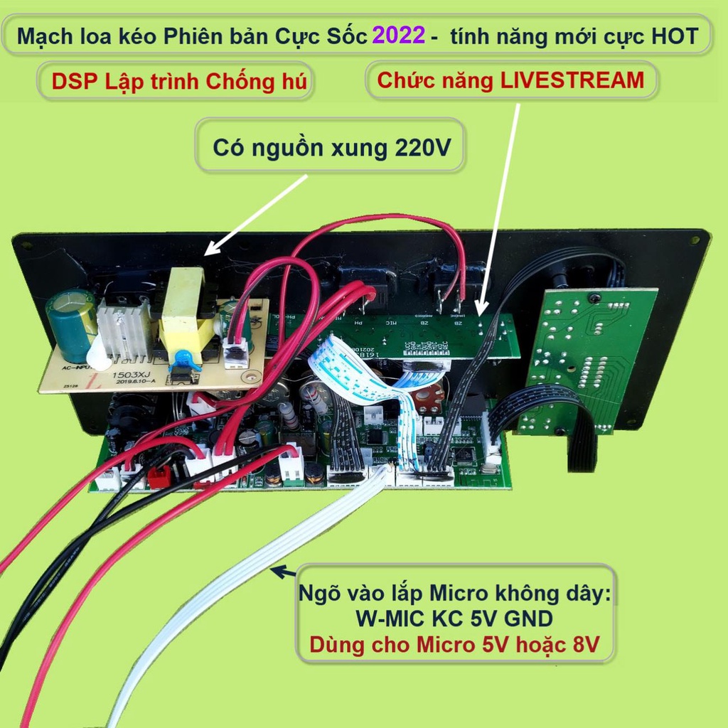 Mạch loa kéo LIVESTREAM DSP lập trình chống hú IC CS8676 công suất 60W – 120W có nguồn xung - guitar điện