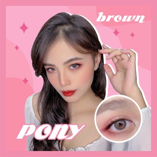 Kính áp tròng - PONY BROWN - GRAY