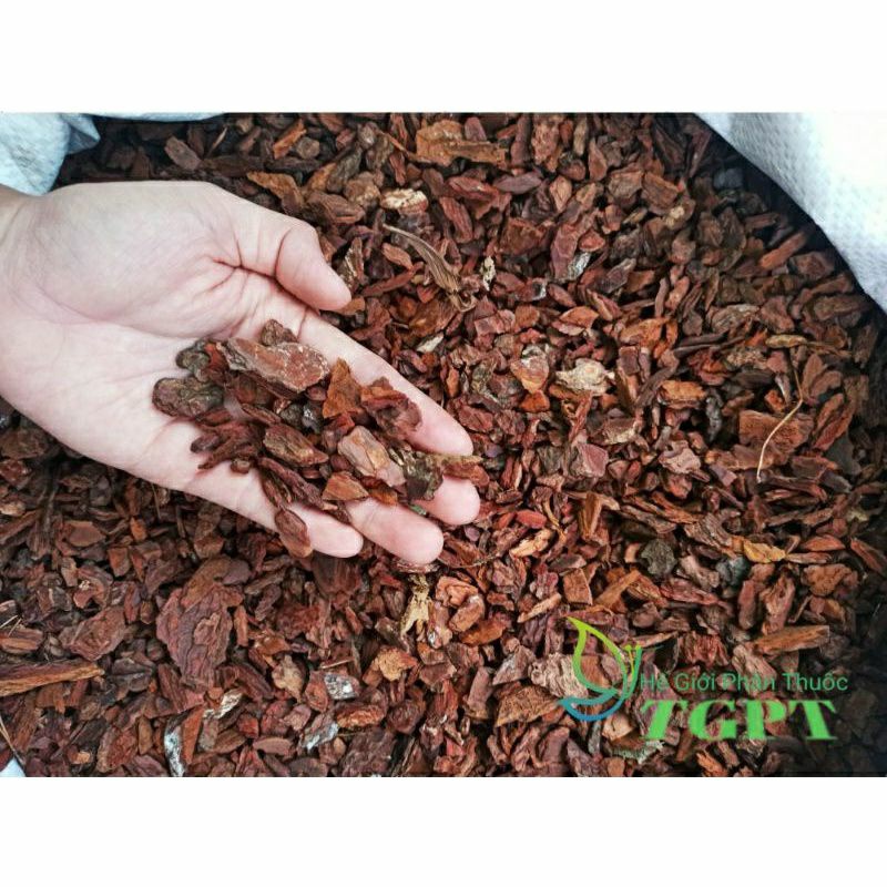 Vỏ Thông Dạng Hạt Ngô/Bắp Túi 1kg