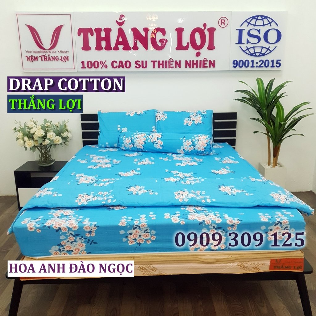 bộ ga cotton Thắng lợi chính hãng ( 4 món) IN LOGO THẮNG LỢI màu HOA ANH ĐÀO NGỌC