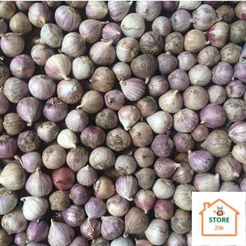 Tỏi Cô Đơn Phan Rang [1 kg]