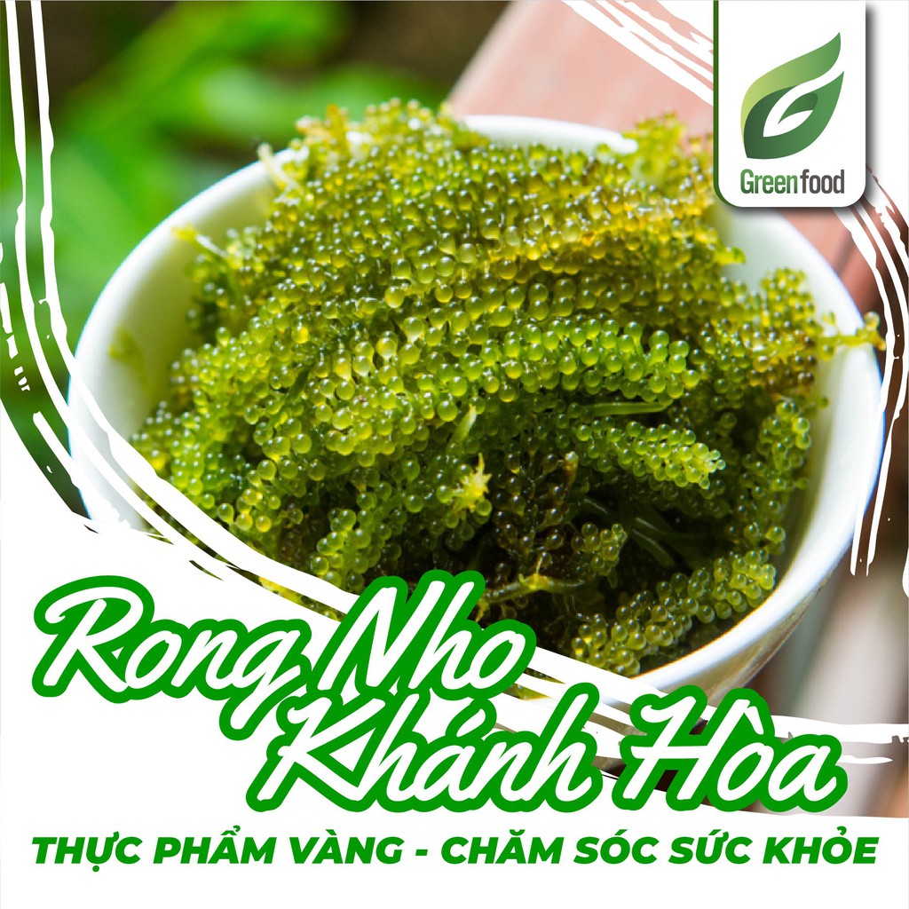 Rong Nho Tách Nước Khánh Hòa 25g - Viên ngọc xanh của biển cả - GreenFood | BigBuy360 - bigbuy360.vn