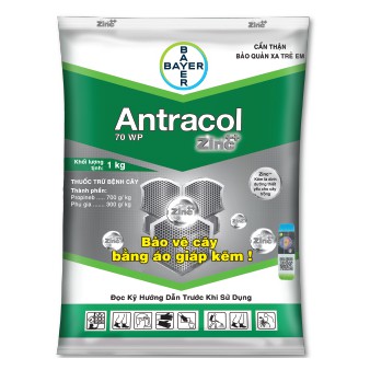 Antracol 70WP - thuốc trừ nấm bổ sung vi lượng kẽm