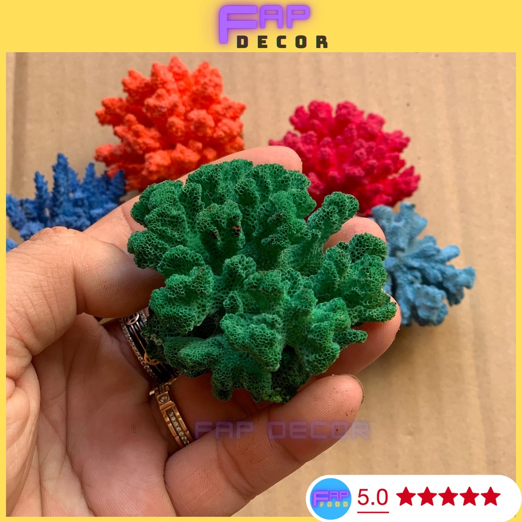 BÔNG RẠN SAN HÔ MINI PHONG THỦY PHỐI MÀU DECOR NHÀ CỬA, SAN HÔ NHIỀU MÀU TRANG TRÍ THỦY SINH