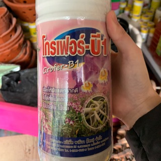 Phân bón kích rễ Vitamin B1 1 lít (Thái Lan)