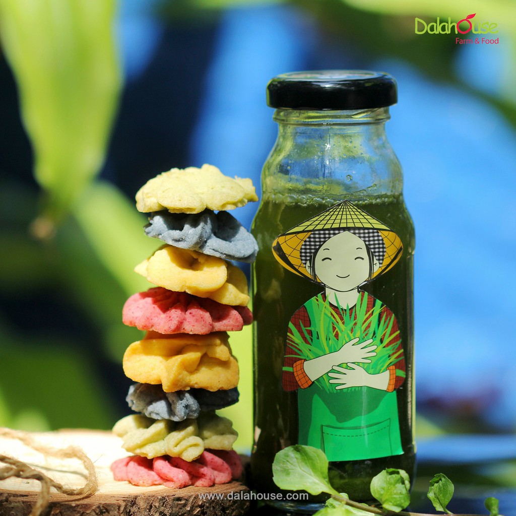 Bột rau củ tạo màu thực phẩm từ bột rau củ hưu cơ nguyên chất Dalahouse – Túi dùng thử 10g | BigBuy360 - bigbuy360.vn