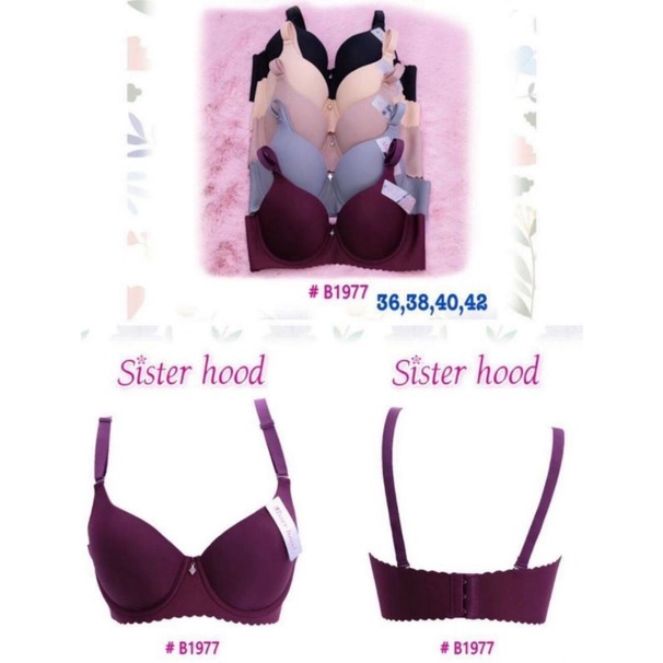 Áo lót nữ bigsize dây đúc mềm mại, áo ngực bigsize không đệm Thái Lan Sister Hood 1977