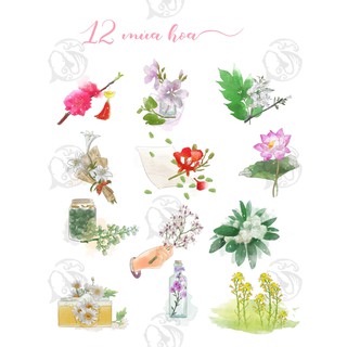 Sticker 12 mùa hoa