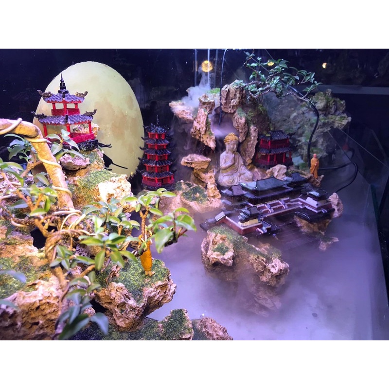 Bộ sưu tập hồ, bể bán cạn tiểu cảnh đa phong cách độc đáo by Kelsey Nguyen