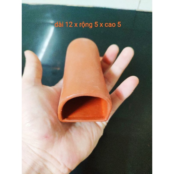 Hang gốm pleco miệng vòm nhỏ