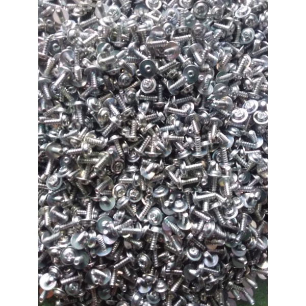 100 GAM VÍT BẮT SÒ
