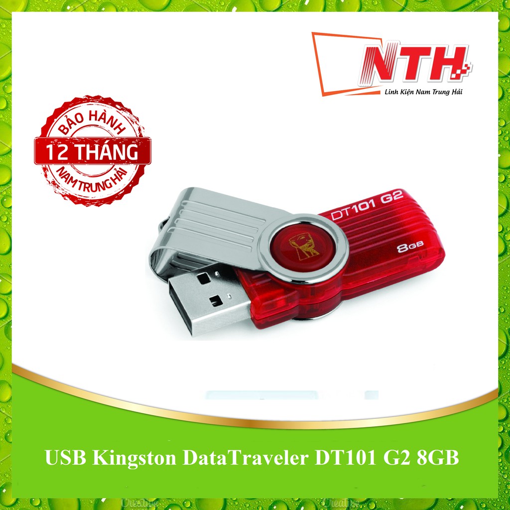 USB DataTraveler DT101 G2 8GB