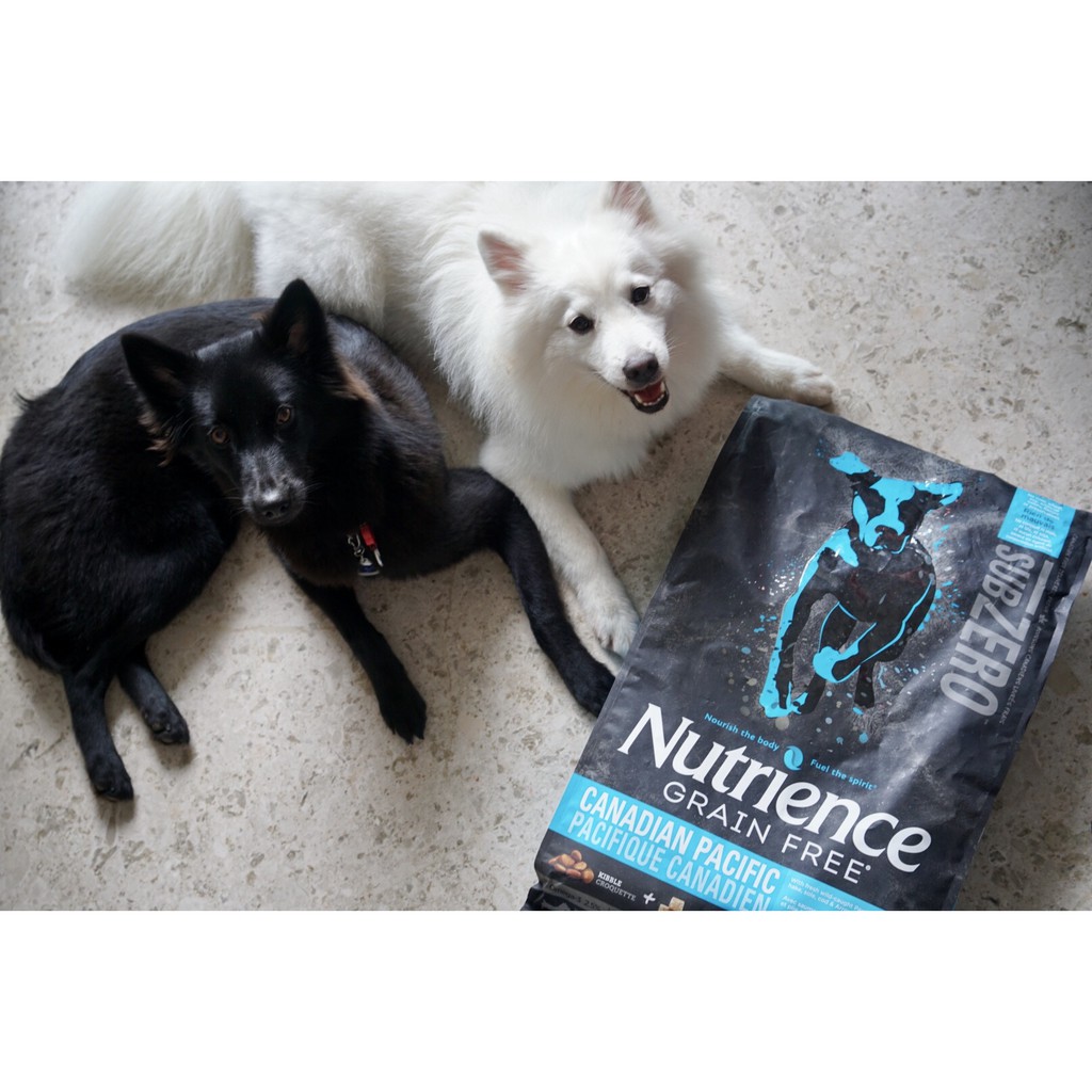 BAO 10KG HẠT Chó Nutrience Infusion Healthy Adult cho Chó giống lớn trưởng thành #MEGAPACK