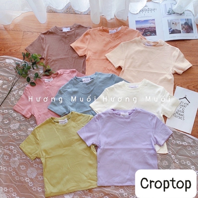 Áo thun tăm trơn basic cộc tay-hang qchau l1