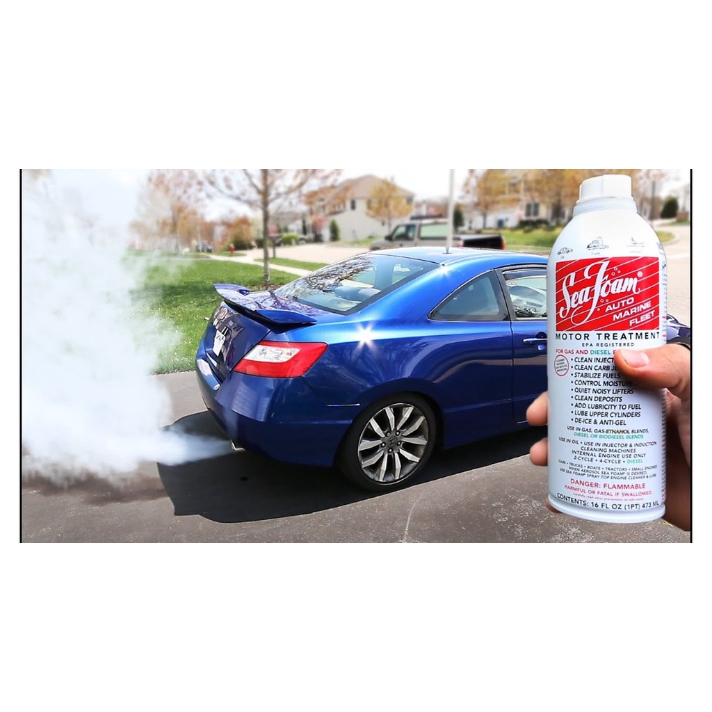 Dung Dịch Vệ Sinh Động Cơ Seafoam USA