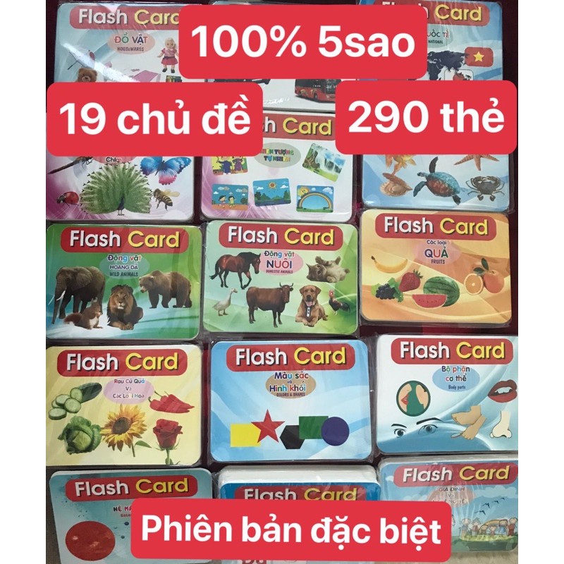 Bộ 290 thẻ học Thông minh song ngữ Việt Anh, Bộ thẻ flash card cho trẻ từ 0 tháng - 6 tuổi | Glenn Doman