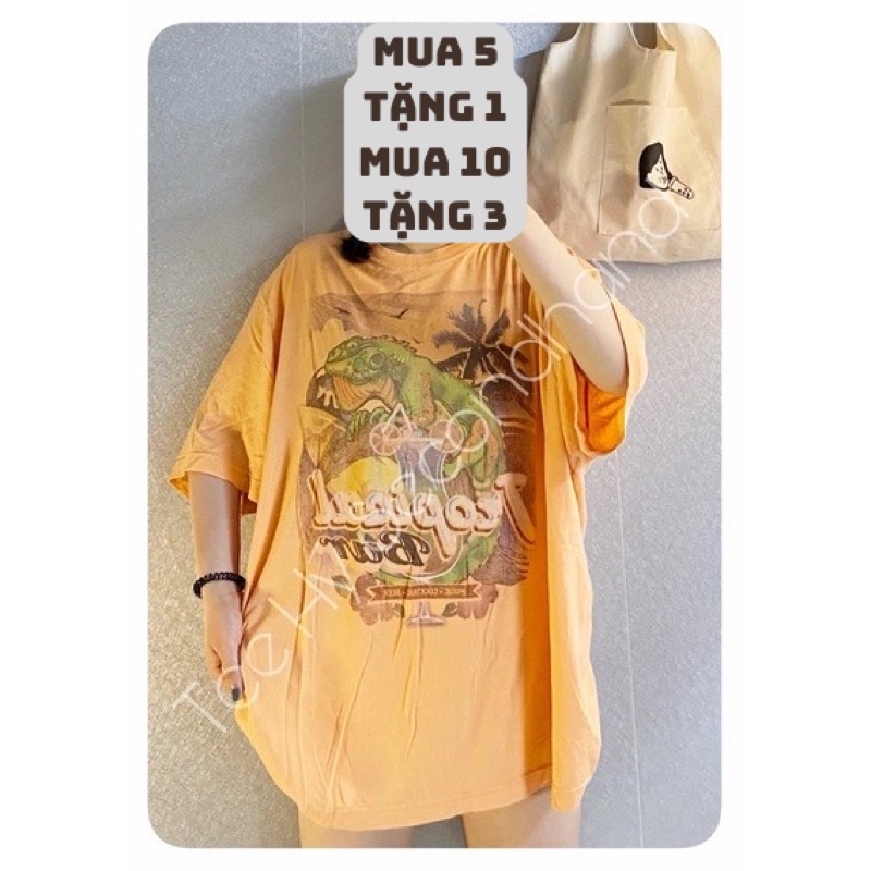Xả kho Áo thun Mỹ 2hand _HÀNG LỖI-ĐỌC KỸ MÔ TẢ_giao mẫu ngẫu nhiên {không được chọn mẫu}