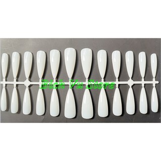 Móng úp dài 504 cái/Hộp mica