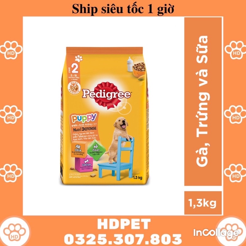 Thức ăn chó con Pedigree vị gà &amp; trứng túi 1.3kg