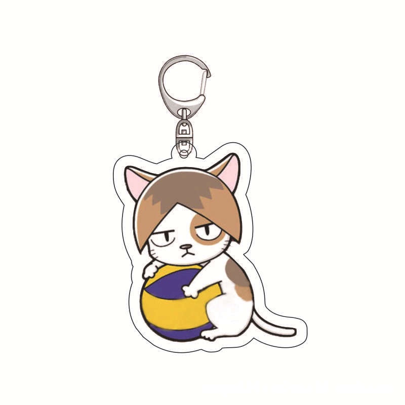 Móc Khóa Hình Nhân Vật Hinata Shoyo Tsukishima Kei Bằng Acrylic Thời Trang