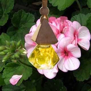 Tinh Dầu Phong Lữ Hữu Cơ ( Organic Geranium Essential Oil )