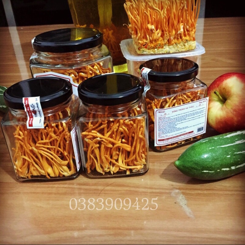 Đông Trùng Hạ Thảo Sấy Thăng Hoa Cao Cấp  Chính Hãng