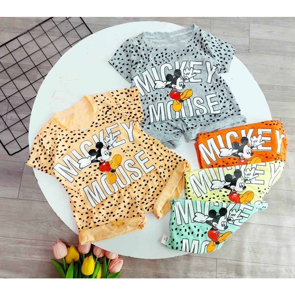 [MẪU MỚI] BỘ CỘC TAY MICKEY MOUSE CHẤT COTTON MỀM MÁT SIÊU ĐÁNG YÊU CHO BÉ 8-24KG. VIDEO THẬT, BIBO BABY SHOP