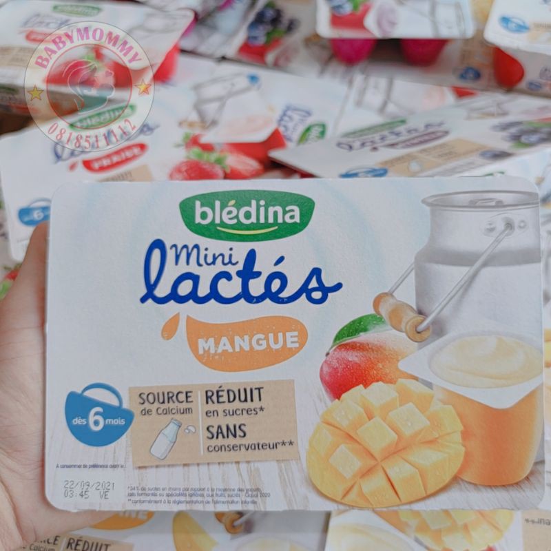 Sữa Chua nguội Bledina Pháp Cho bé từ 6 tháng tuổi